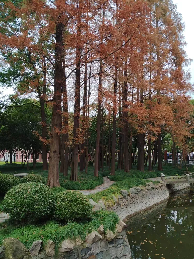 上海财经大学研究生学费一年多少