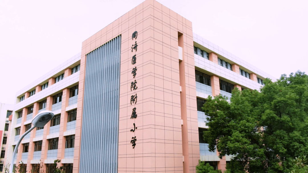 华中科技大学本科毕业条件