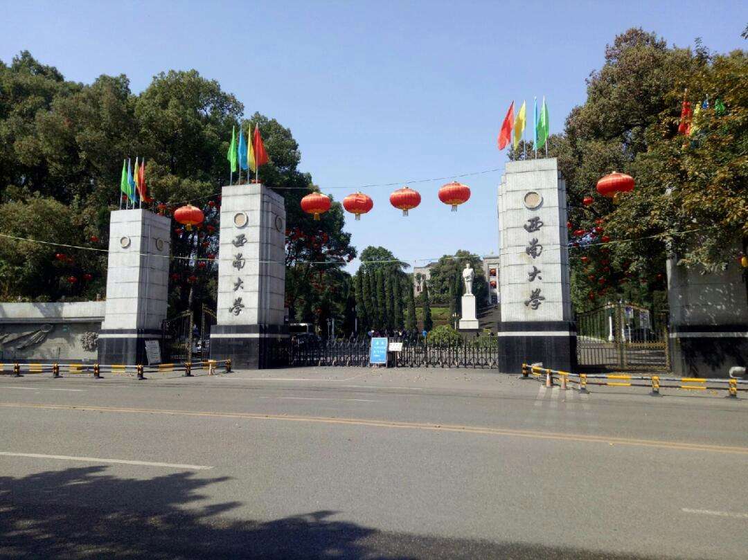 西南大学2024录取分数线