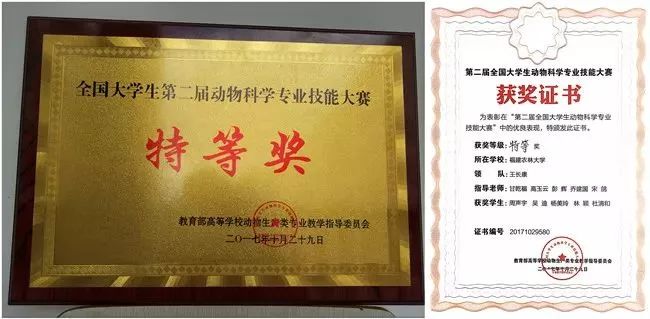 西北农林科技大学文凭报考条件