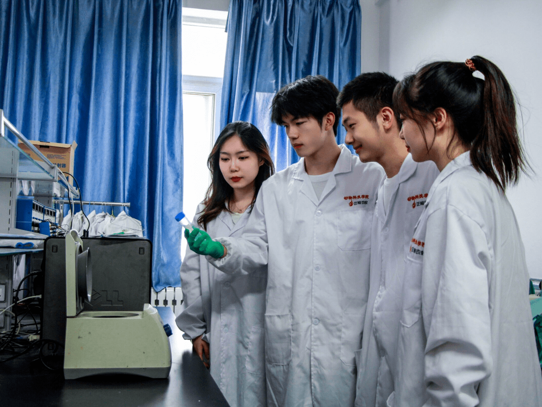 西北农林科技大学文凭报考条件